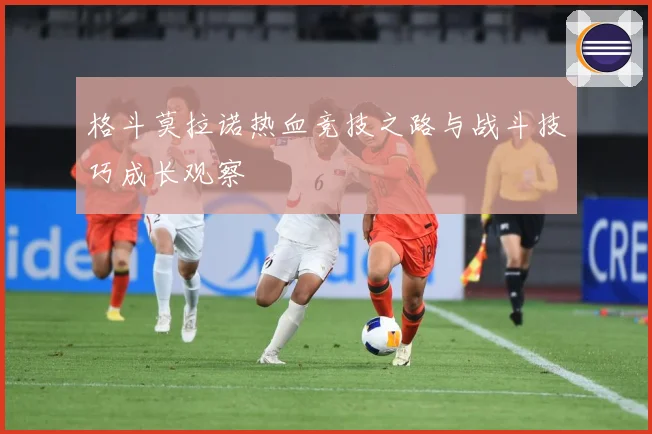 格斗莫拉诺热血竞技之路与战斗技巧成长观察