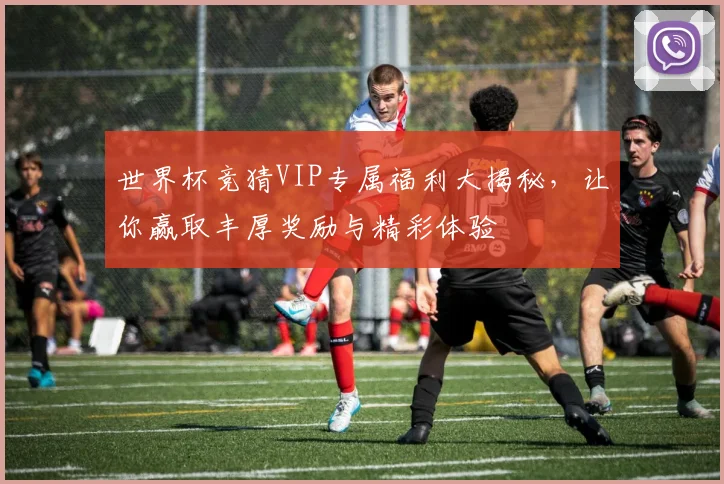 世界杯竞猜VIP专属福利大揭秘，让你赢取丰厚奖励与精彩体验