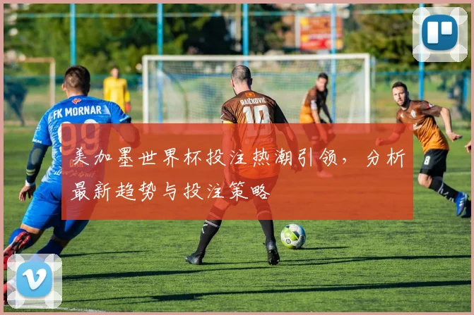 美加墨世界杯投注热潮引领，分析最新趋势与投注策略