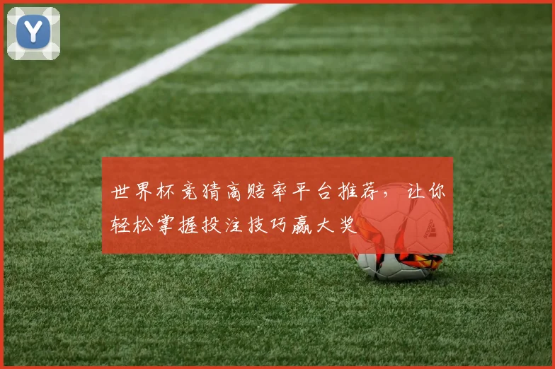 世界杯竞猜高赔率平台推荐，让你轻松掌握投注技巧赢大奖