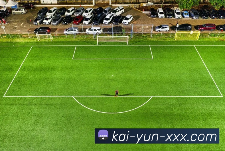 开云平台展示图